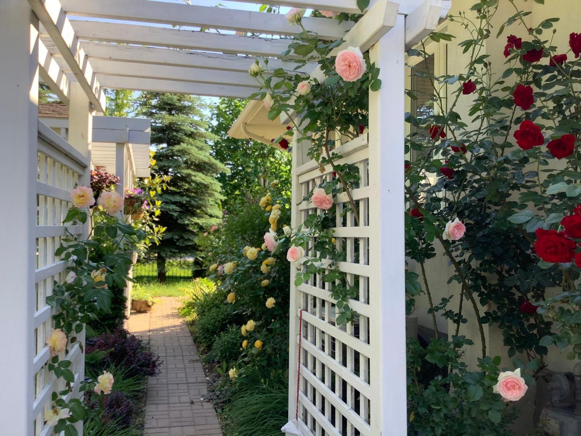 Bed and Breakfast Via Veneto - Old Town Niagara-on-the-Lake Exteriér fotografie